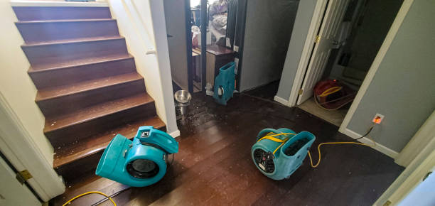 Best Professional water damage repair  in Pleasureville, PA