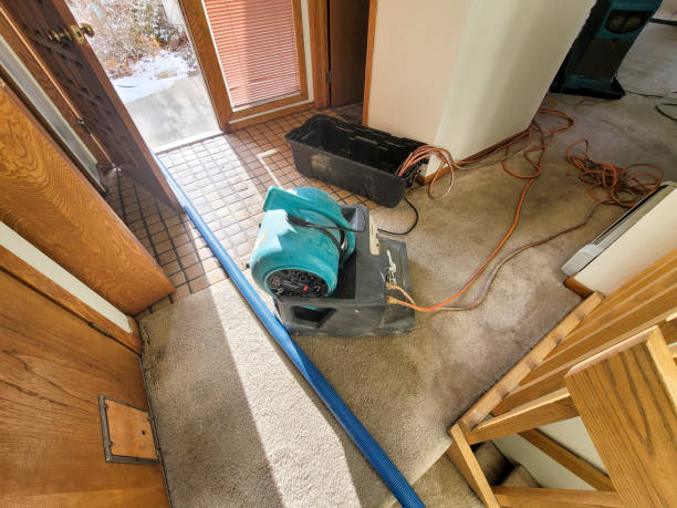 Best Mold removal after water damage  in Pleasureville, PA