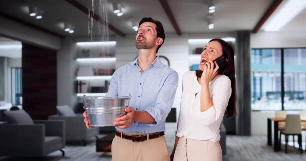 Best Sewage cleanup and water damage restoration  in Pleasureville, PA